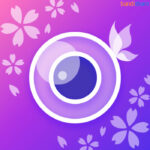 youcam-perfect-mod-apk