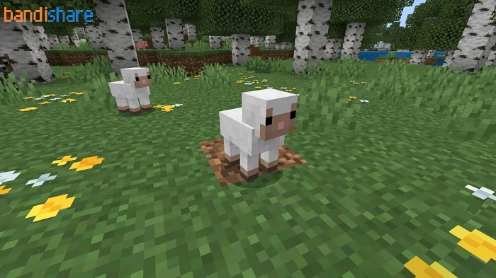 minecraft-26-2-apk